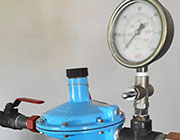 Gas Regulator